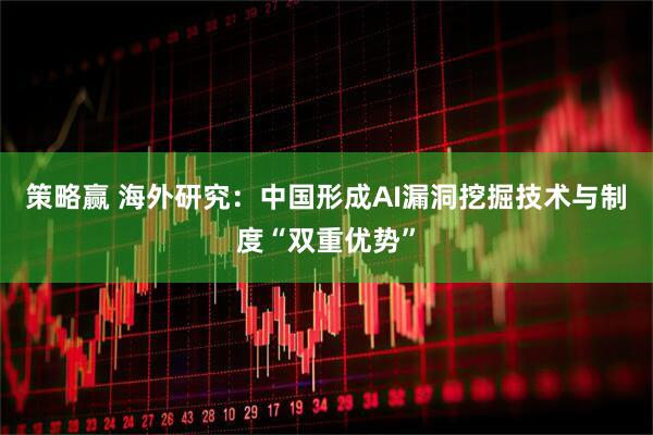 策略赢 海外研究：中国形成AI漏洞挖掘技术与制度“双重优势”